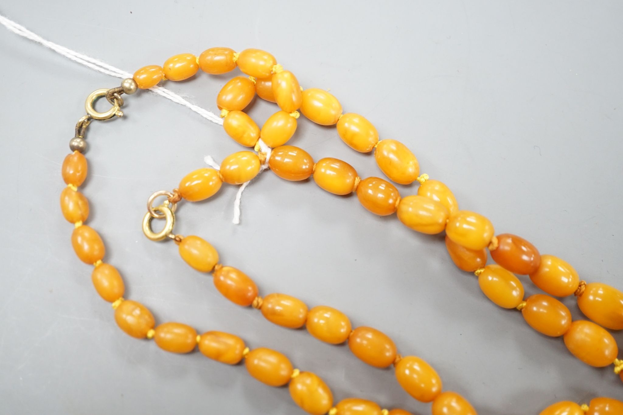 Two single strand graduated oval amber bead necklace, longest 70cm, gross weight 72 grams.